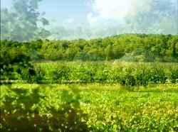 خیلی خیلی کوچک (1) (منجنیق)